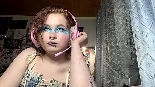 LiIIAry webcam