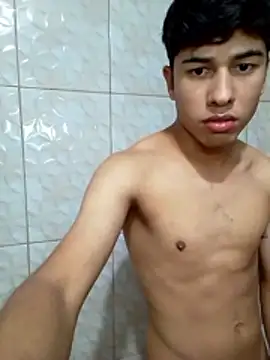 sss020 webcam