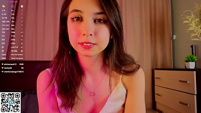 NerixalVire webcam