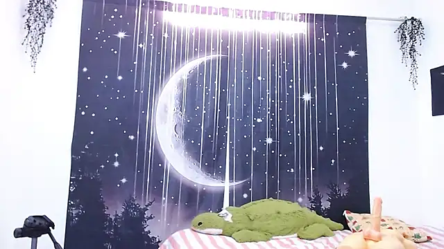 Hikaryfire webcam