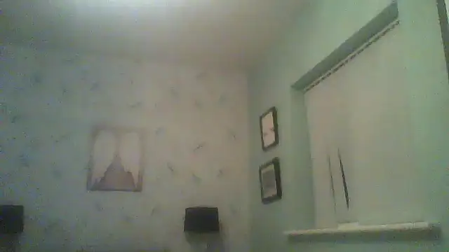 EngagingBench23 webcam