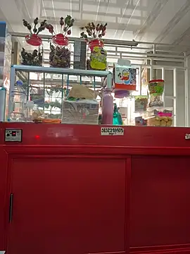 Sara_fun webcam
