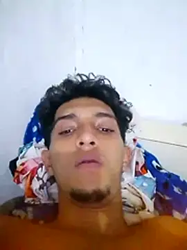 Noscay webcam