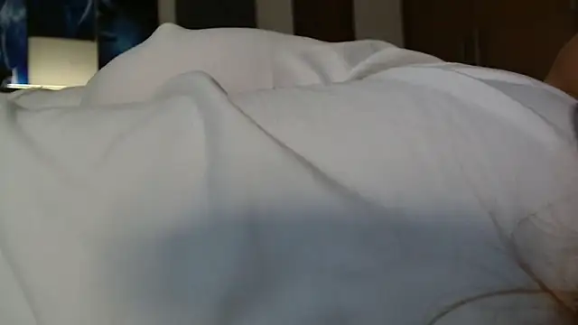 3littles webcam