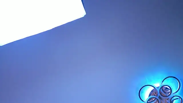 PerryKitty