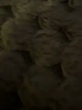 anonimgirl18old