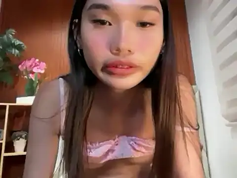 universal_cutie webcam