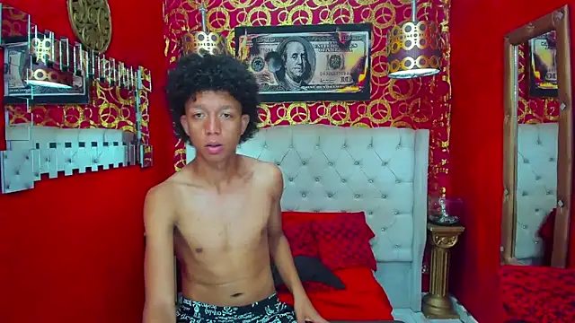 PEINBOYS webcam
