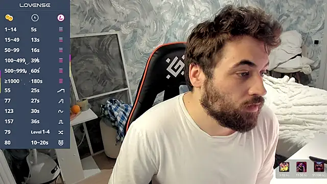 Morlaios webcam