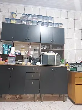 Gasc_1992 webcam