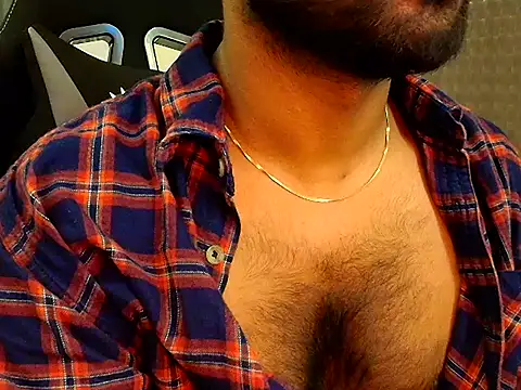 SilverShade3 webcam