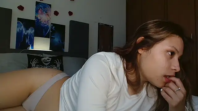 3littles webcam