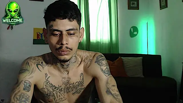 alpha_zom webcam