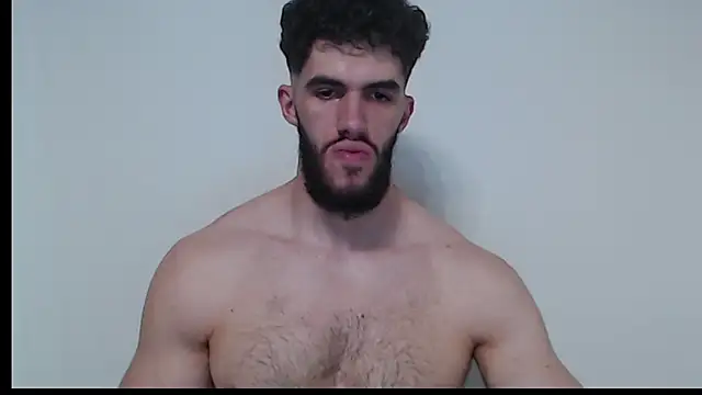 hiddenf webcam
