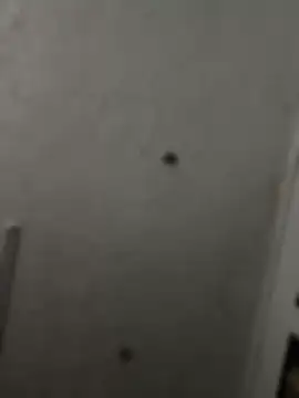 Asstapper69 webcam
