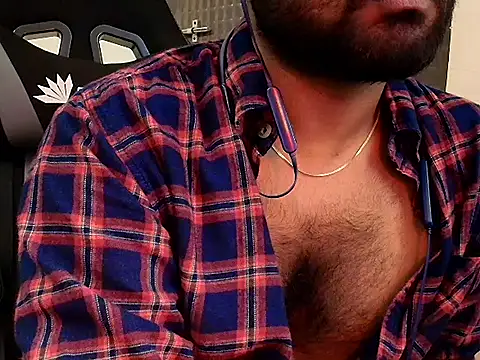 SilverShade3 webcam