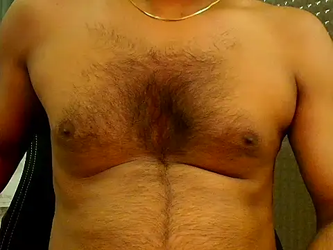 SilverShade3 webcam