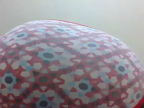 macecce webcam