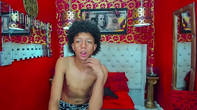 PEINBOYS webcam