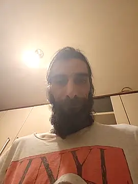 vulpe8400 webcam
