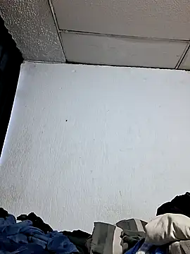 Backdoor_Newbie webcam