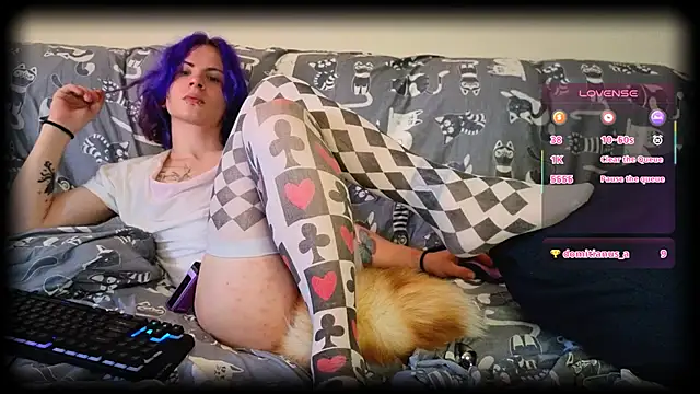 SparkyFerret webcam