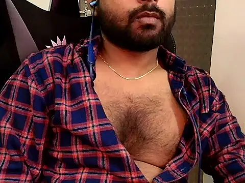 SilverShade3 webcam