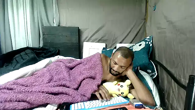 Camodick webcam