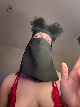 arabayla webcam