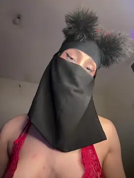 arabayla webcam