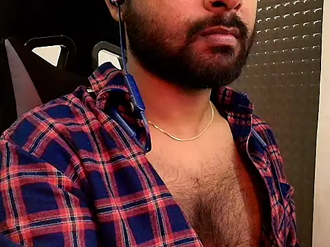 SilverShade3 webcam
