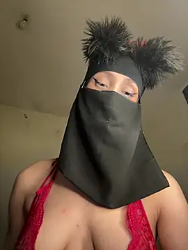 arabayla webcam