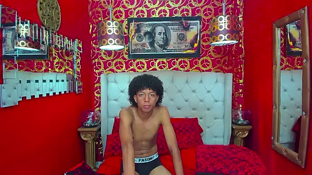 PEINBOYS webcam