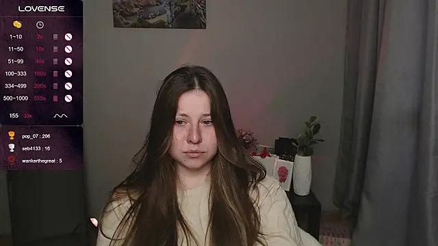 secretvic webcam