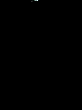 gordinhocachondo webcam
