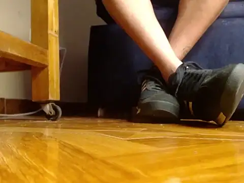 alphaswitchard webcam