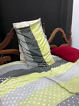 KingBlack25cm webcam