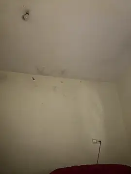 arabayla live sex cam