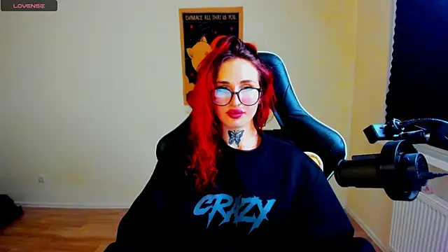 your_tora webcam