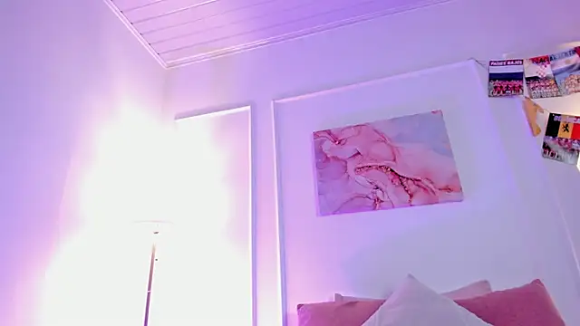 nova_silk webcam