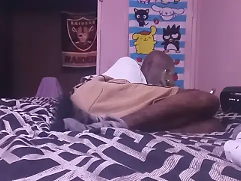 Blkstylion webcam