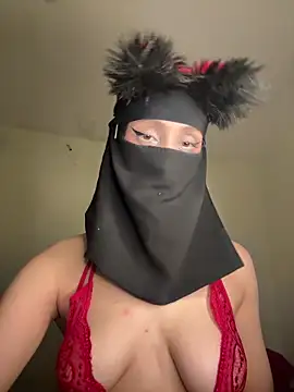 arabayla webcam