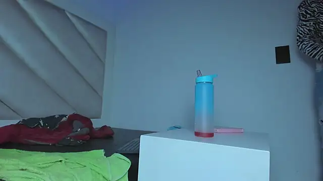 Valentina_js webcam