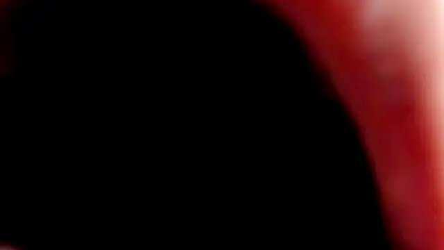 Jacob_Davidson webcam