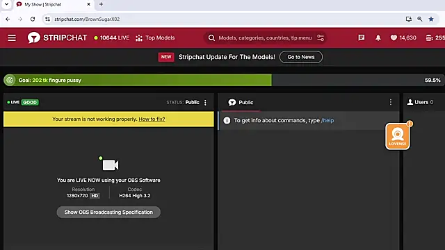 BrownSugarX02 webcam