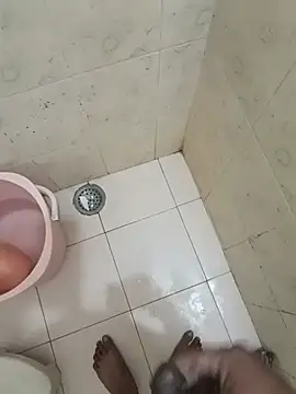 your_wild_king webcam