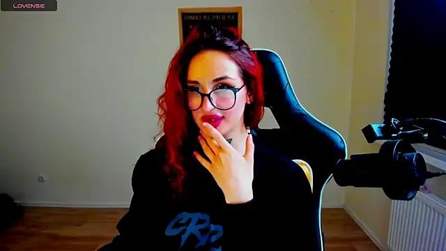 your_tora webcam