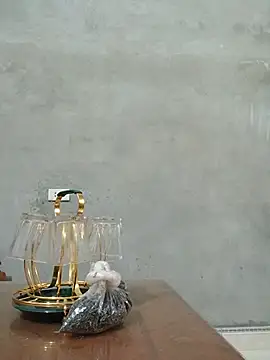 Bear-bear0 webcam