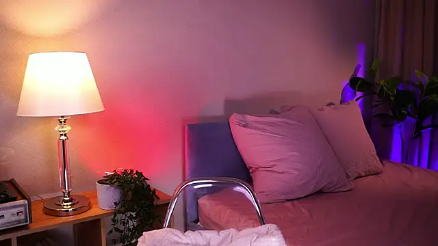 lexy_exe webcam