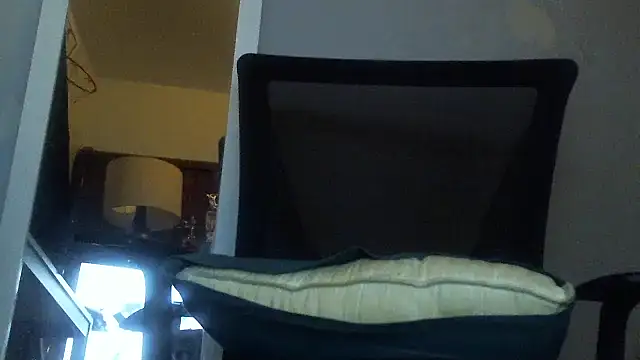 duckmeallday webcam